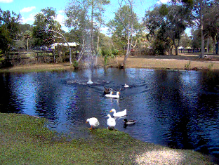 Whispering Pines RV Park