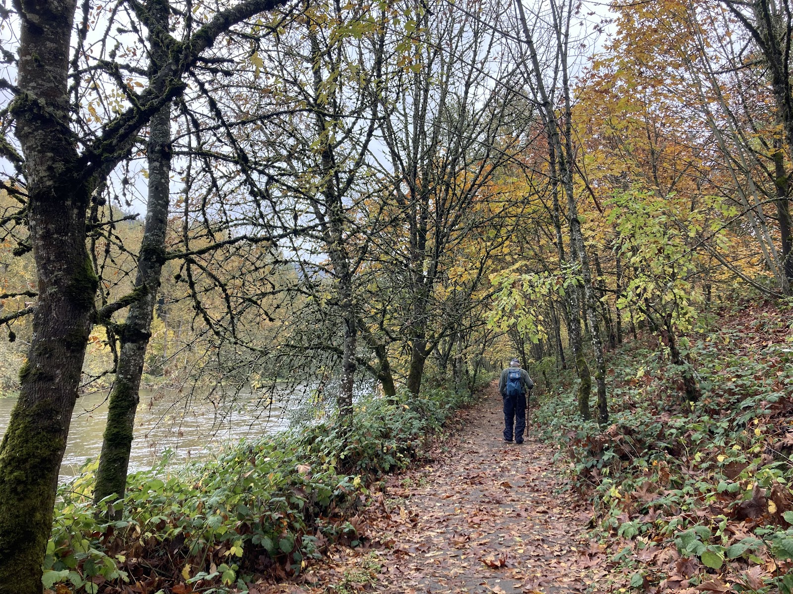 Armitage Park Campground