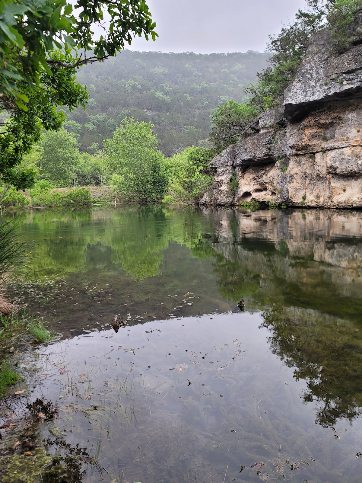 Lost Maples State Natural Area