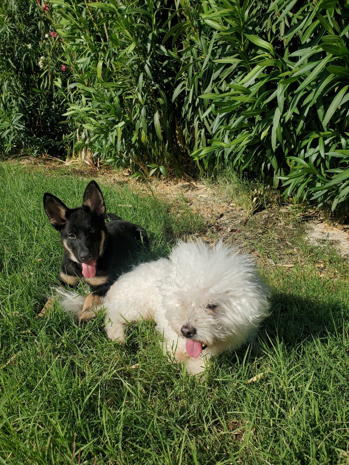 Desert Oasis Mobile Home & RV Resort