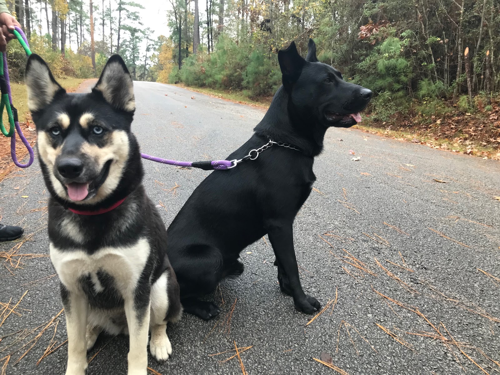 Ratcliff Lake NF Campground