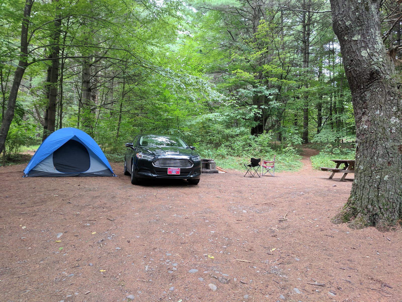 Kenneth L Wilson Campground Catskills SF