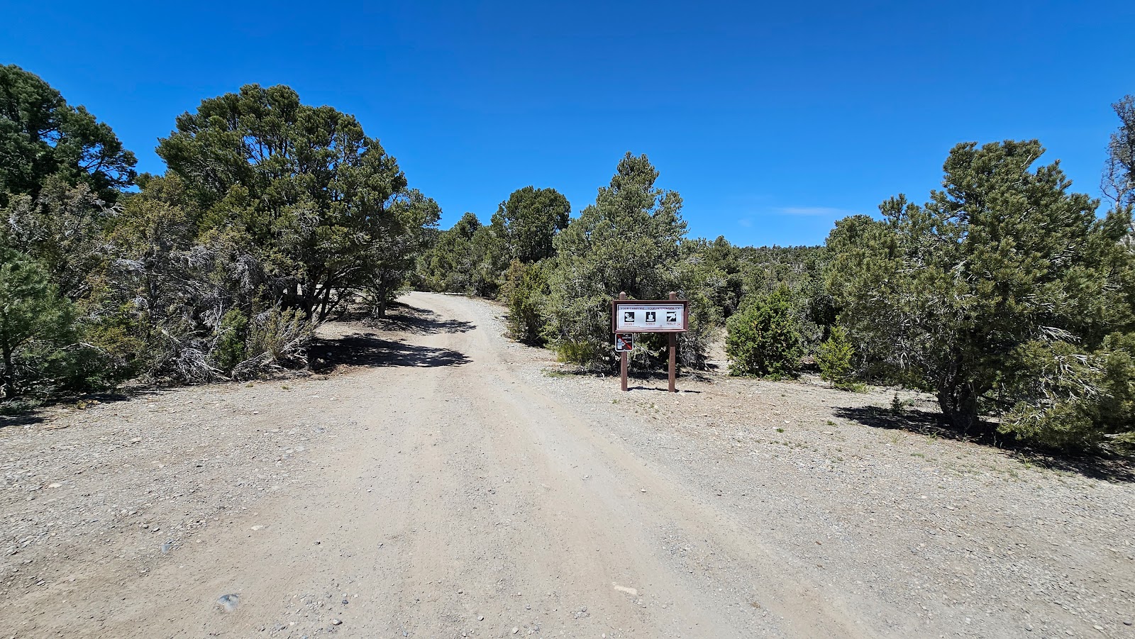 Blue Tree Group Camp