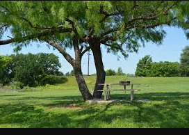 Thorp Spring - Brazos River Authority