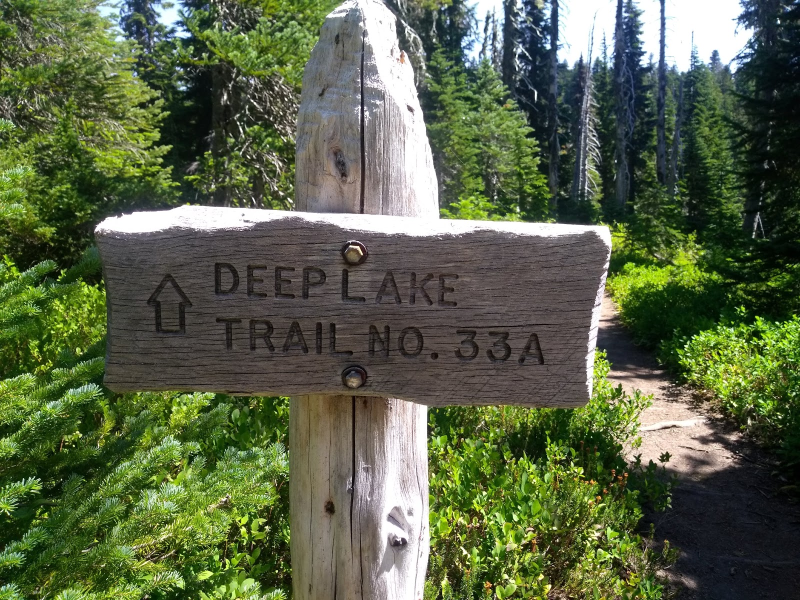 Cultus Creek Campground