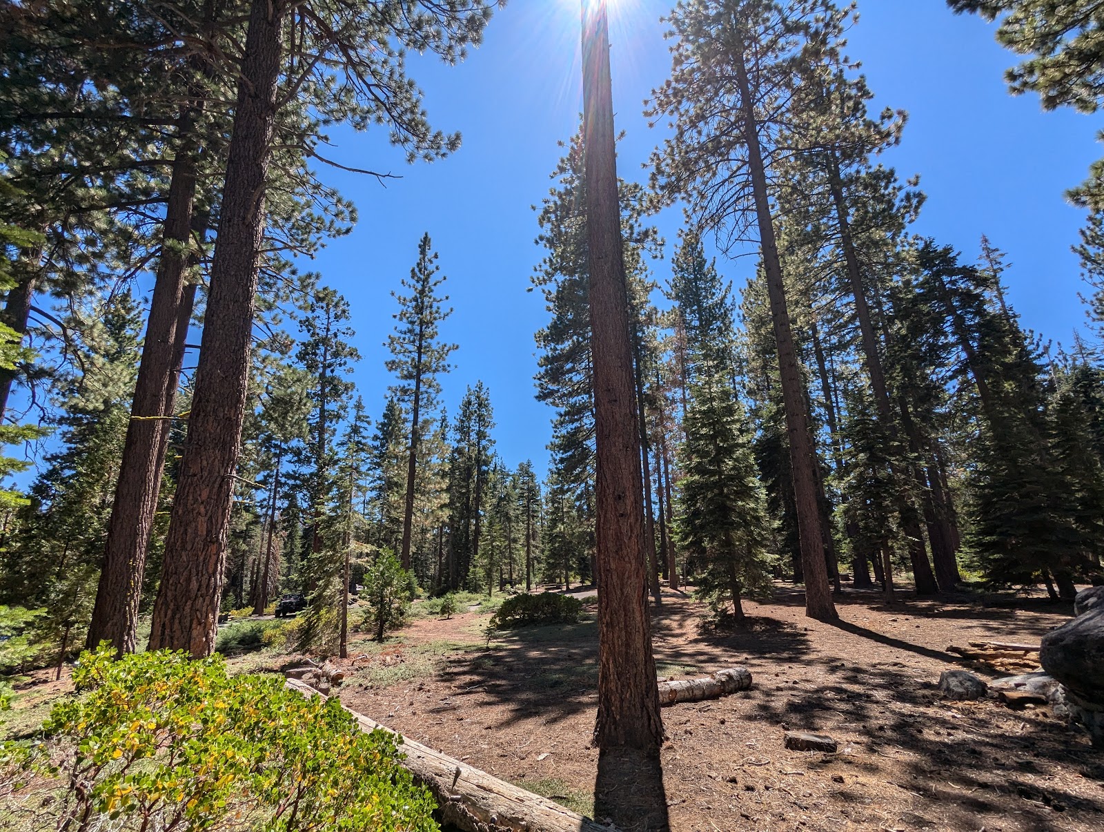 General Creek Campground