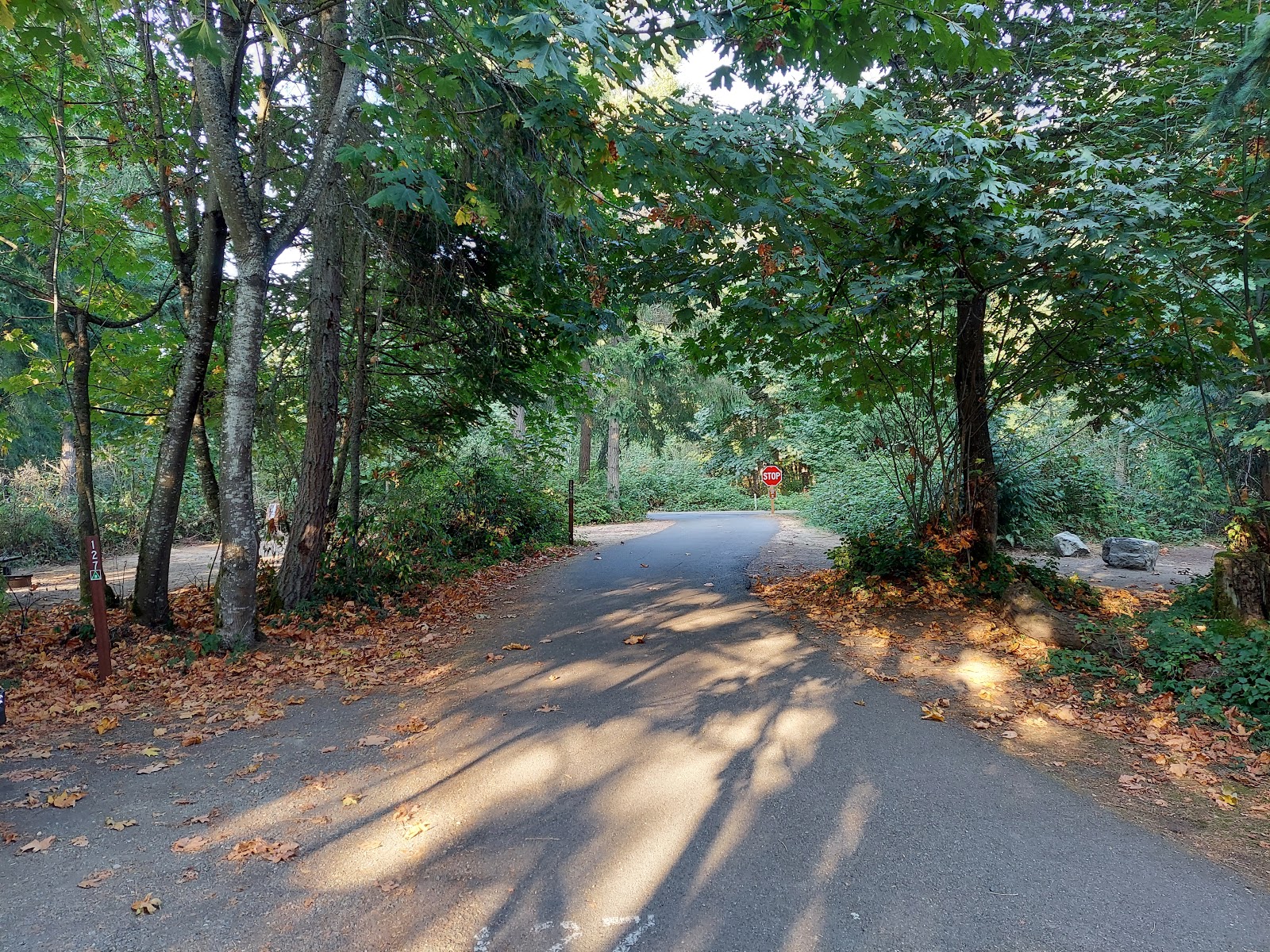Dash Point State Park