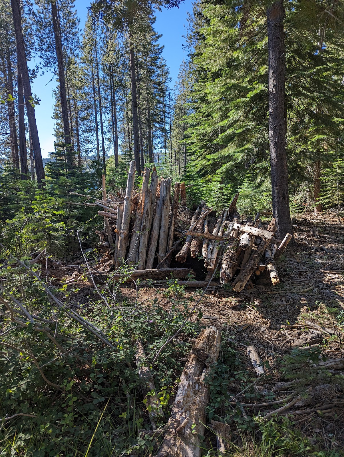 Little Beaver Campground