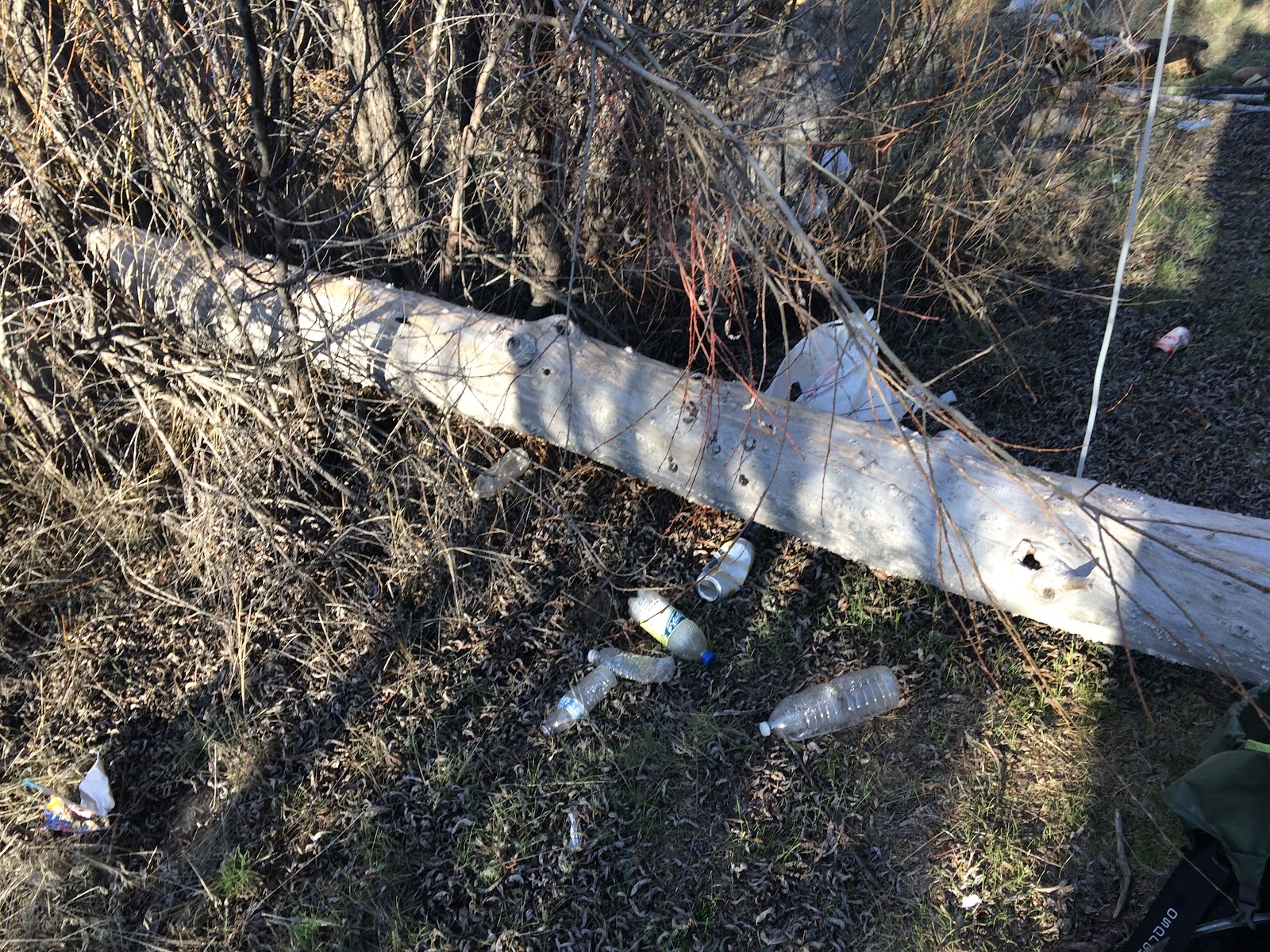 Rancho Nuevo Campground
