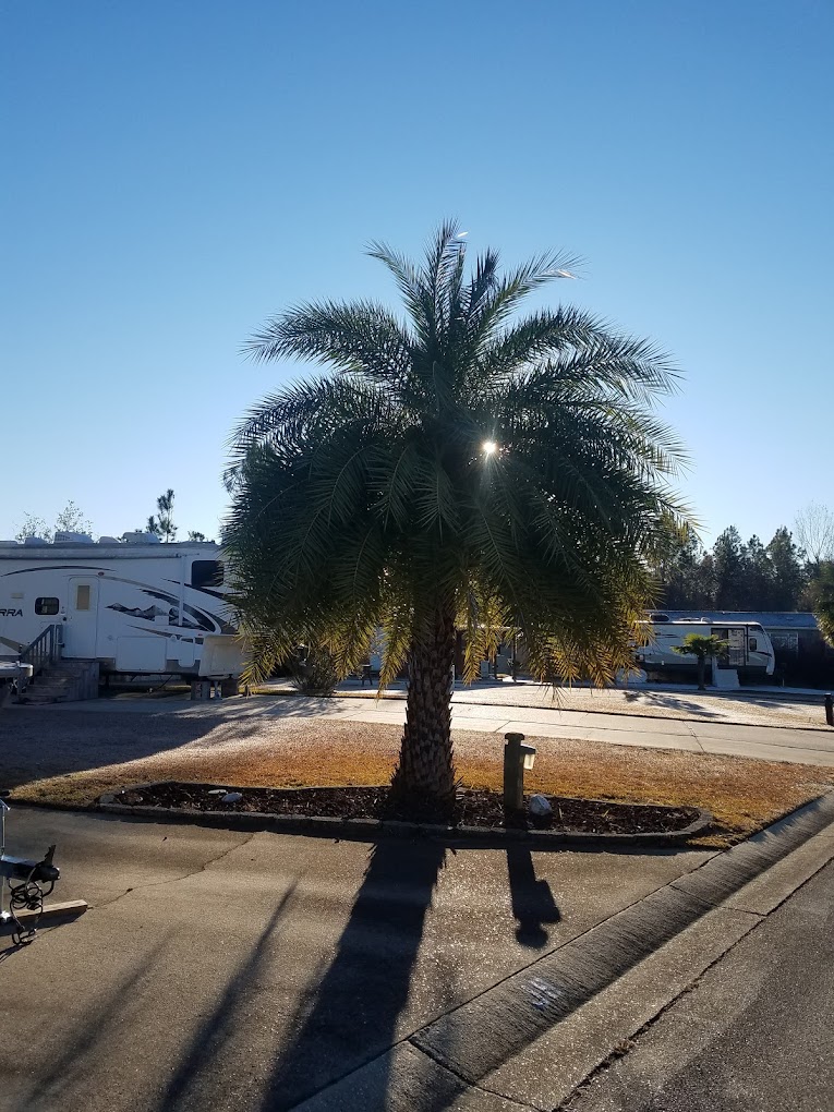 Plantation Harbor RV Resort