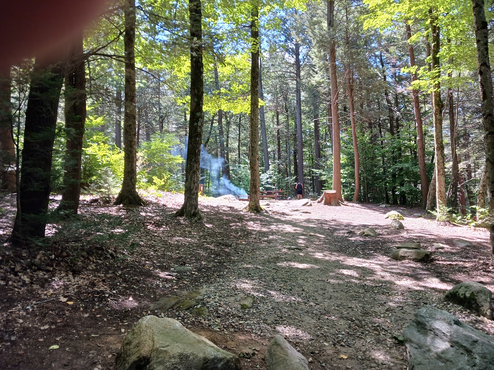 Tolland State Forest Campground