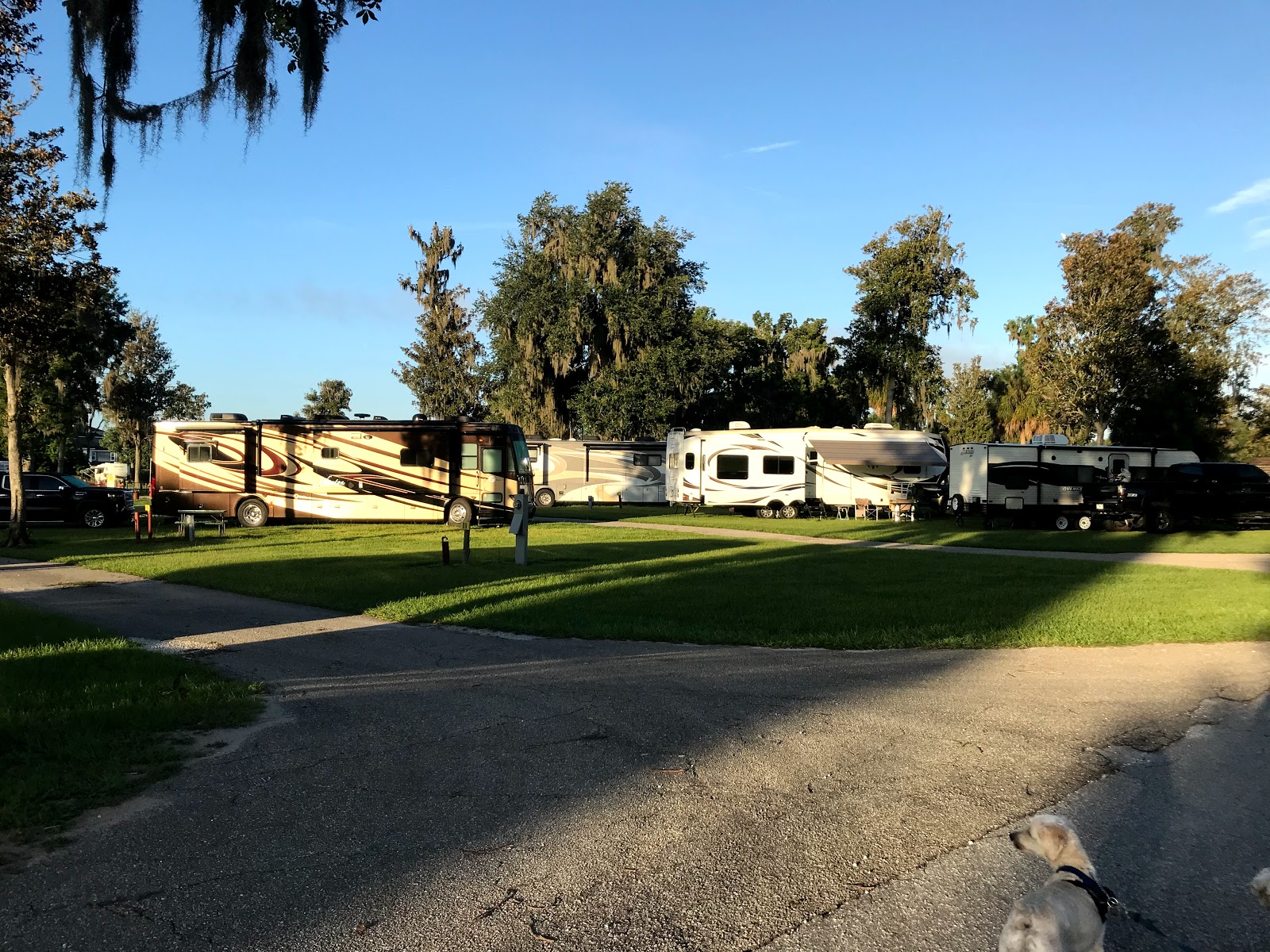 Ocala/Silver Springs KOA