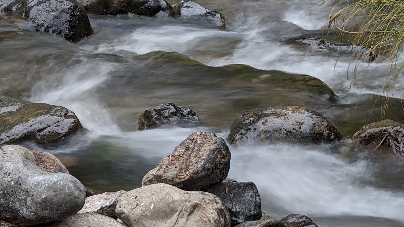 Toll Bridge Campground