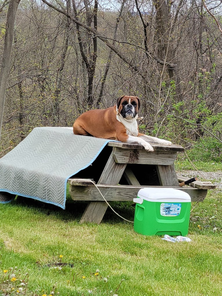 Four Seasons Camping Resort