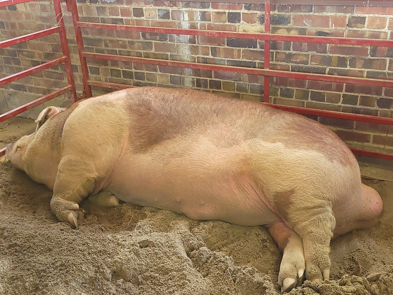 Iowa State Fairgrounds