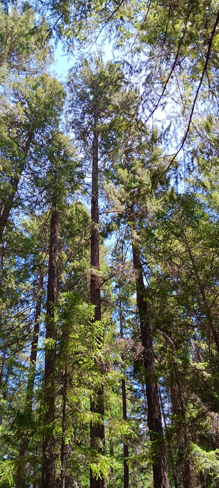 Alpine View Campground