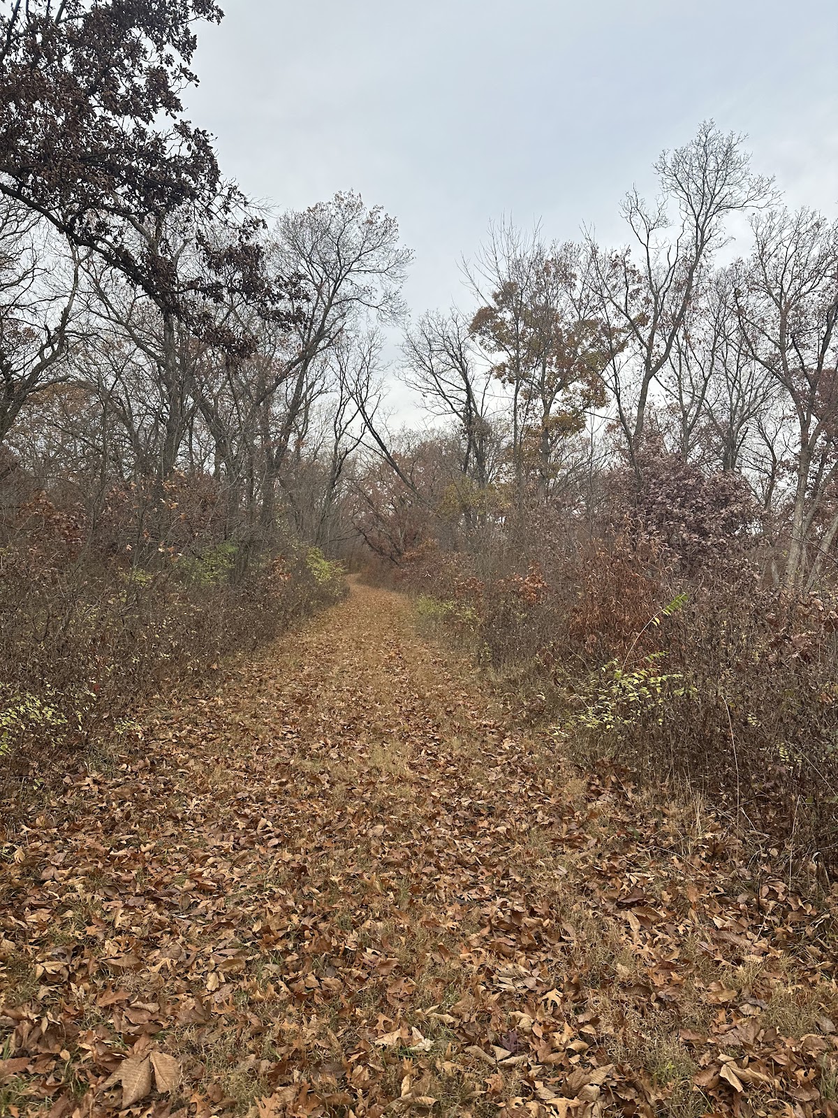 Mine Pond Campground