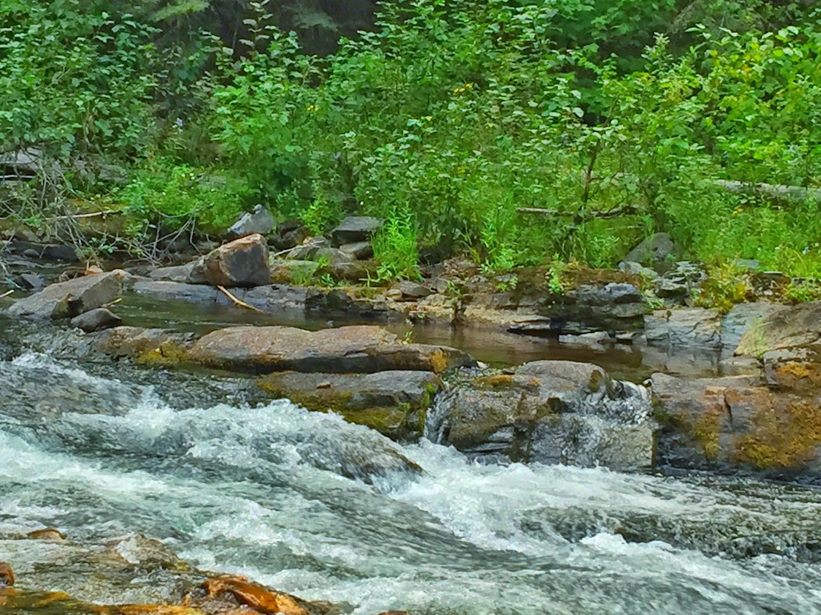 Sullivan Lake East Campground
