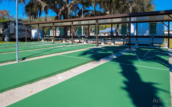 Big Tree (Age Restricted 55+)