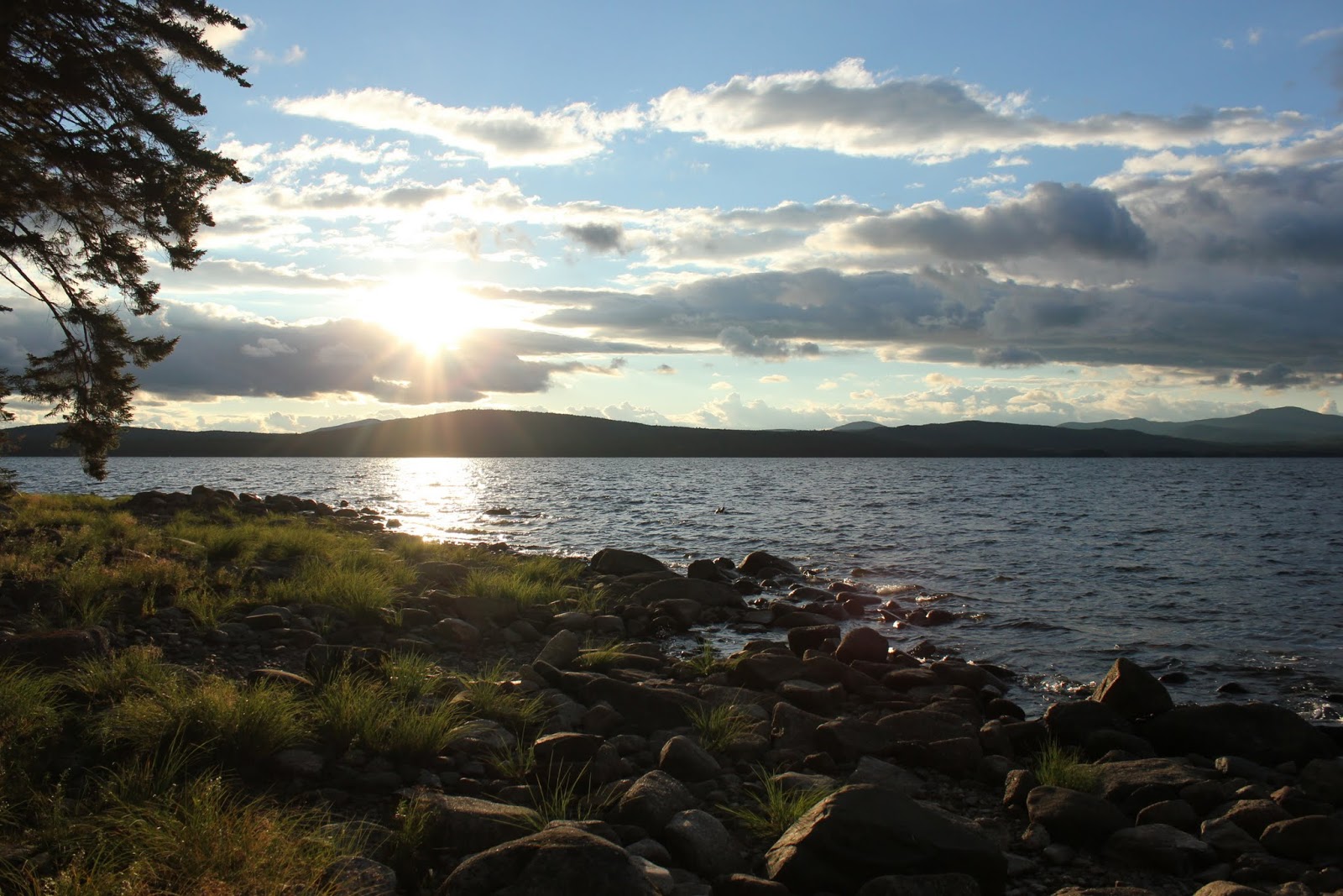 Stephen Phillips Mem Preserve