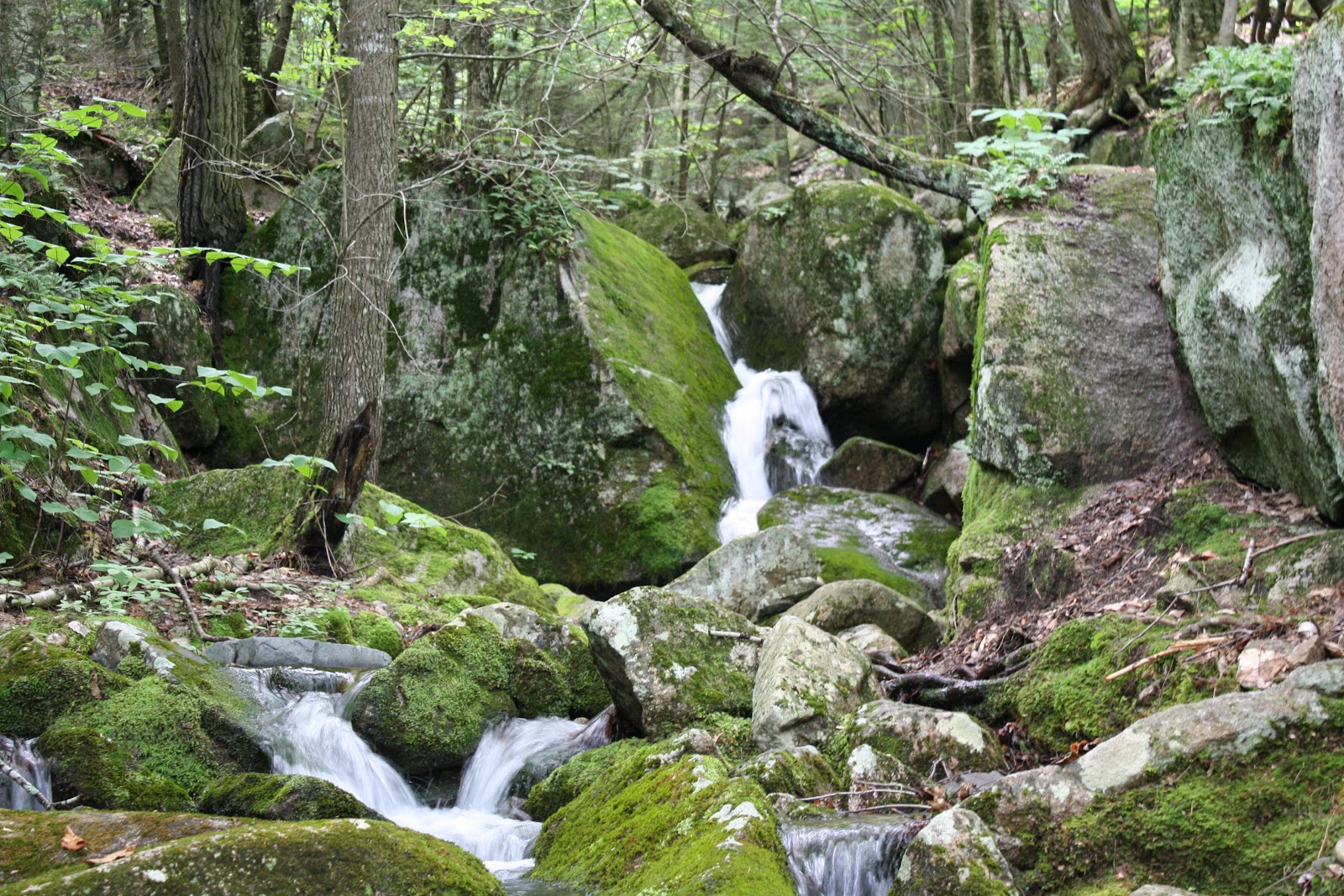 Loon Echo Land Trust