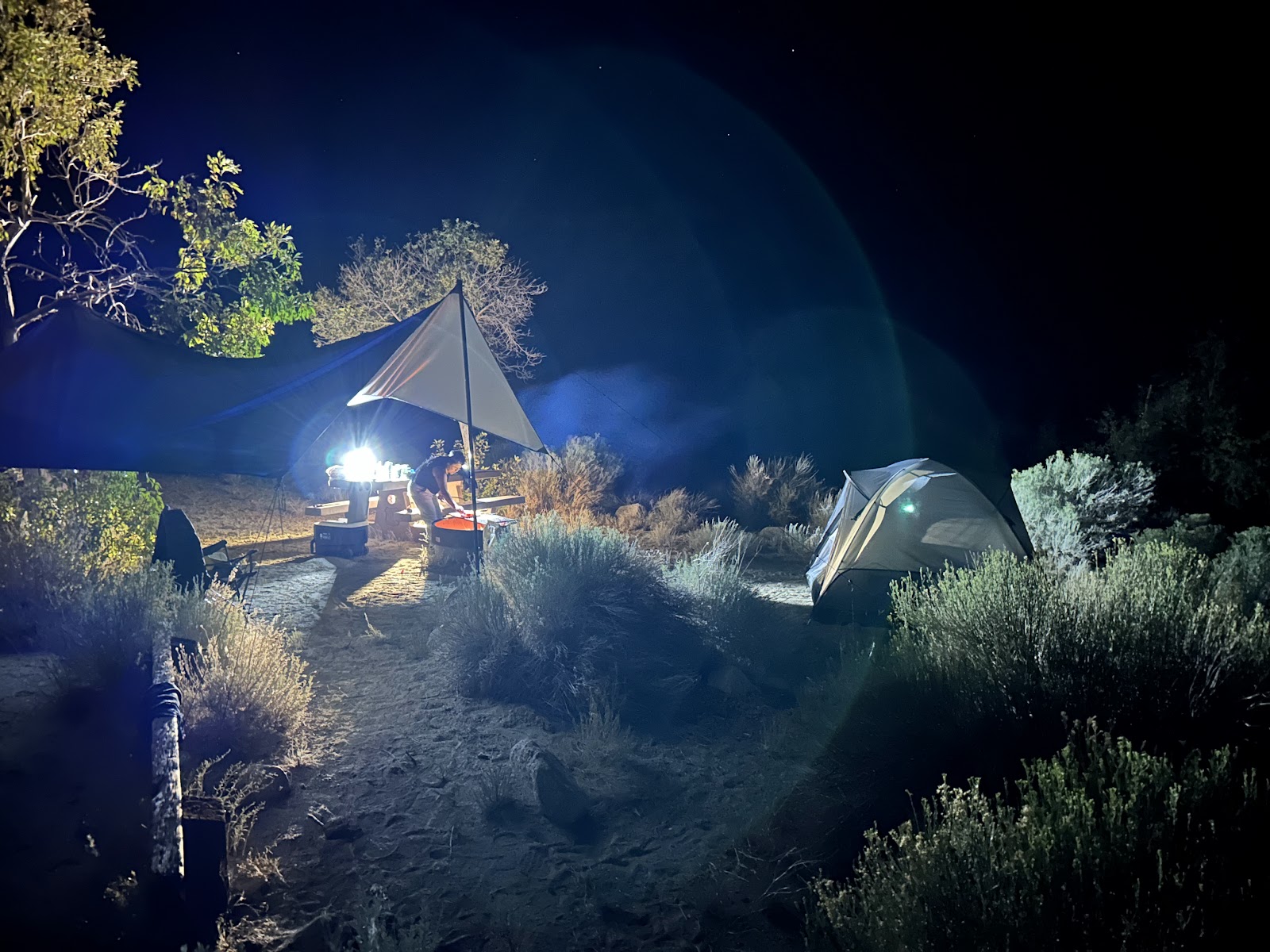 Lone Pine Camping