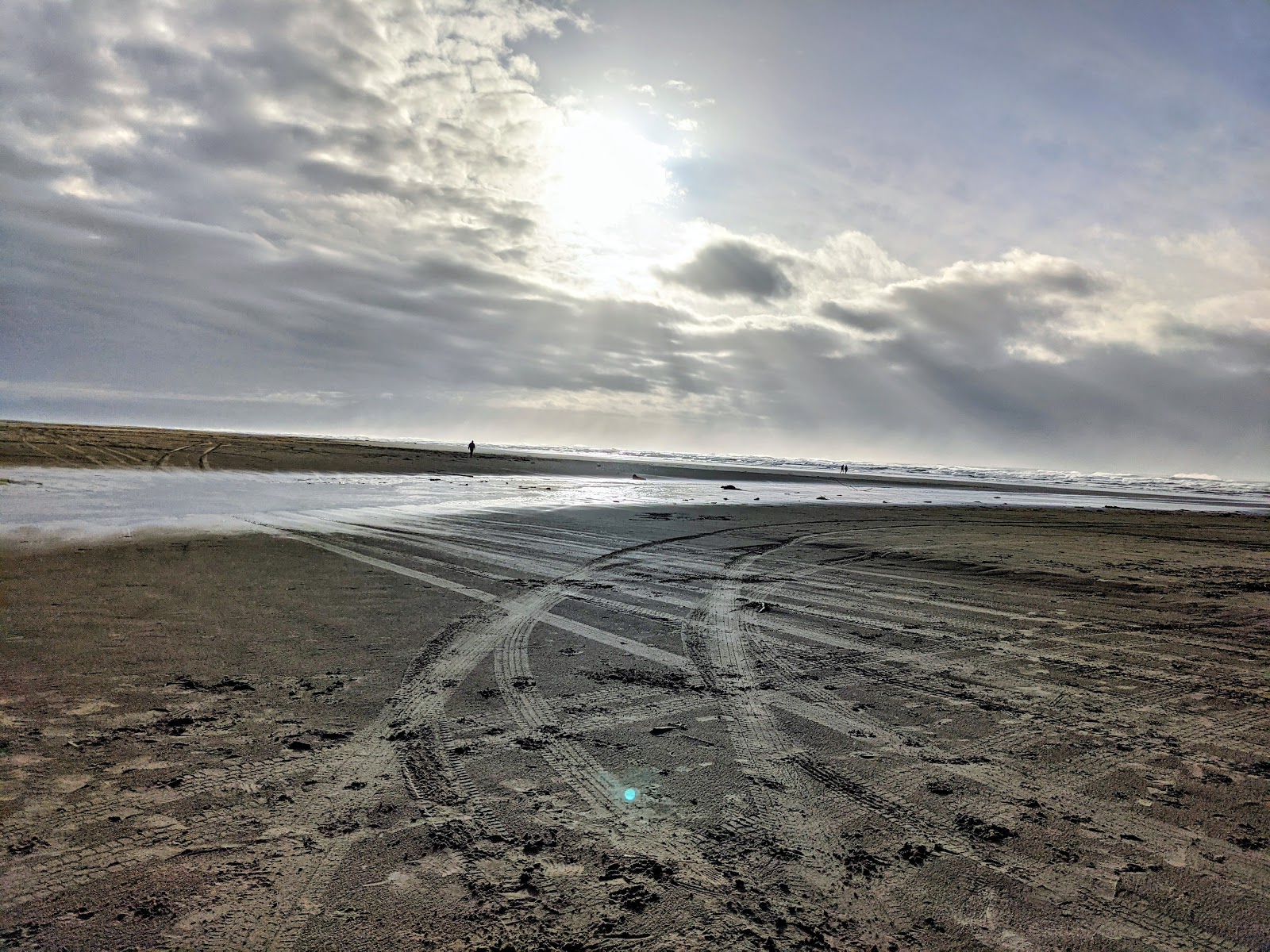 Grayland Beach State Park