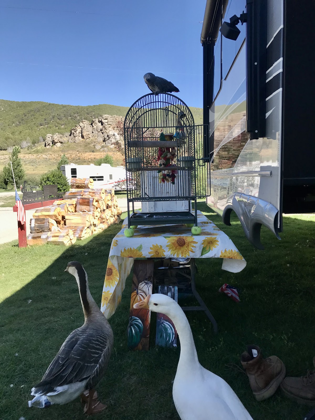 Portneuf Bend Campground
