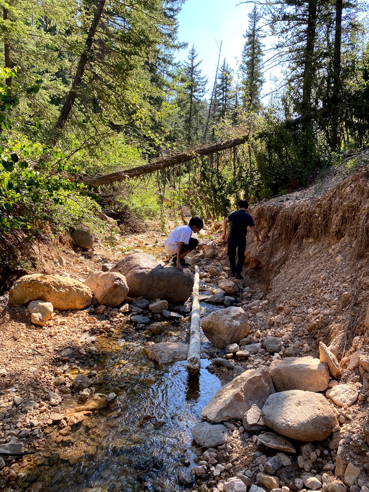 Cedar Canyon Campground