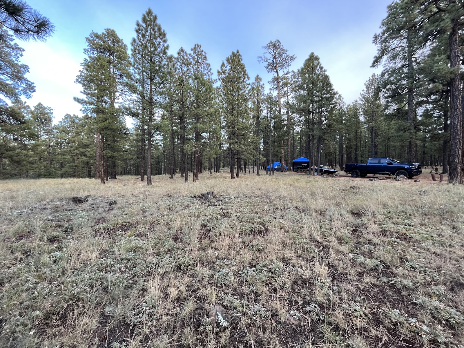 Benney Creek Group Campground