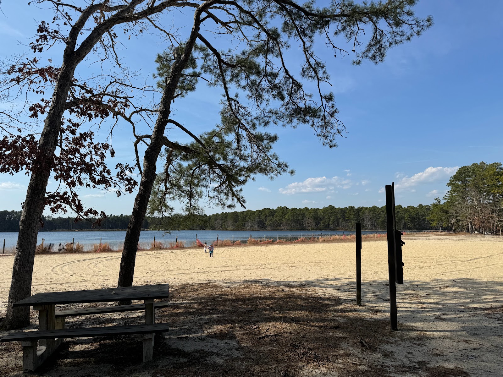 Bass River State Forest