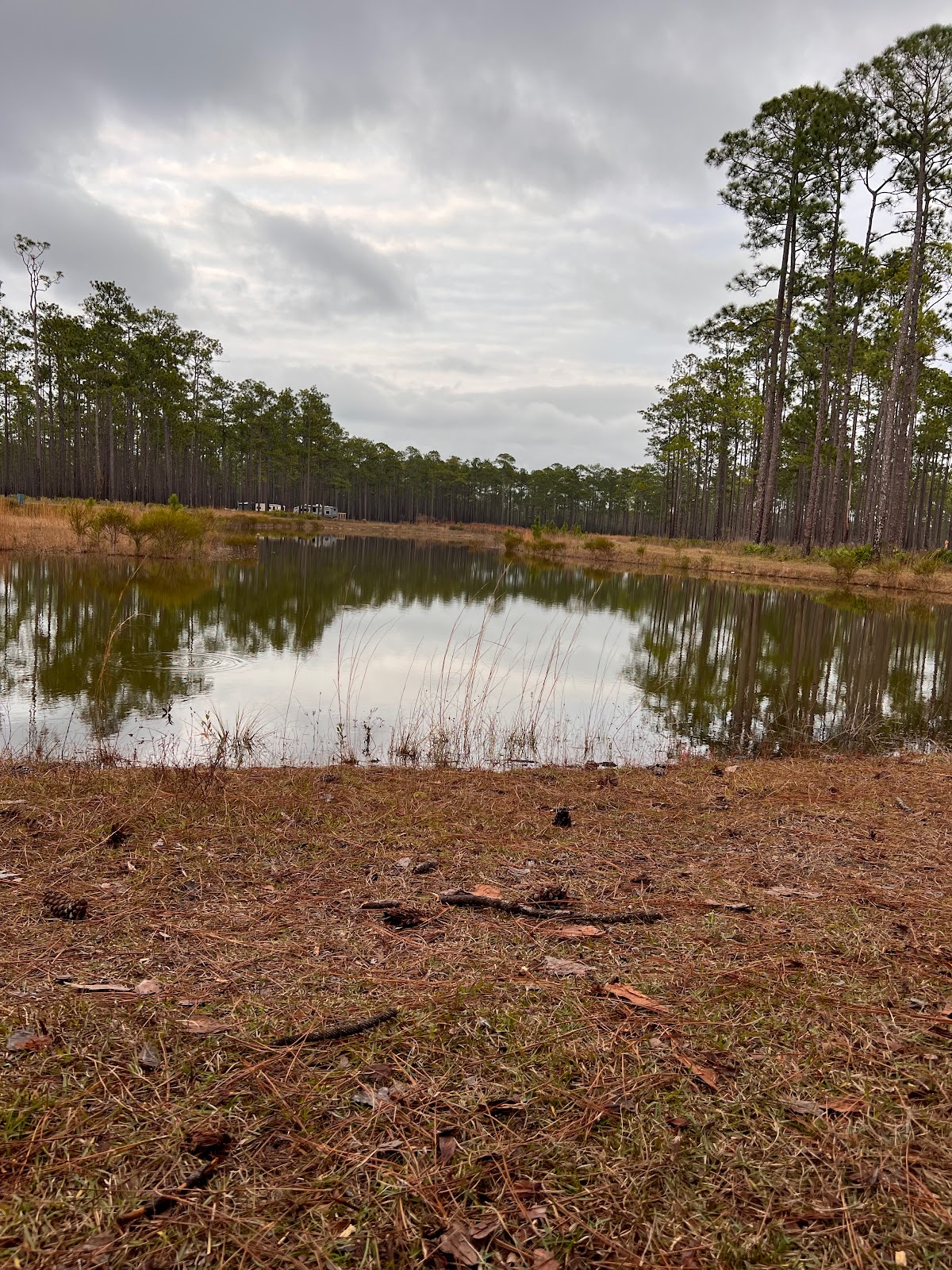 Cliff Lake NF Hunt Camp