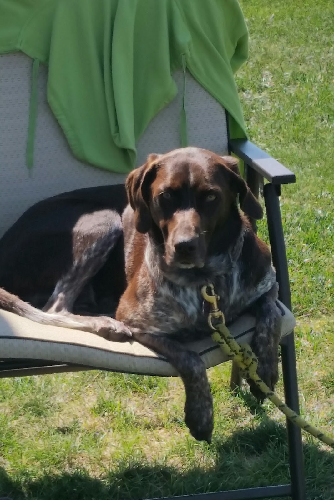 Morning Star Campground