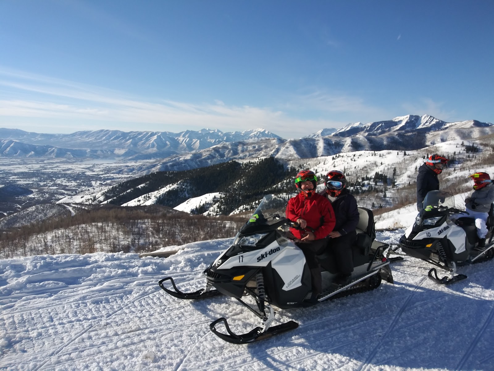 Mahogany - Wasatch Mountain State Park
