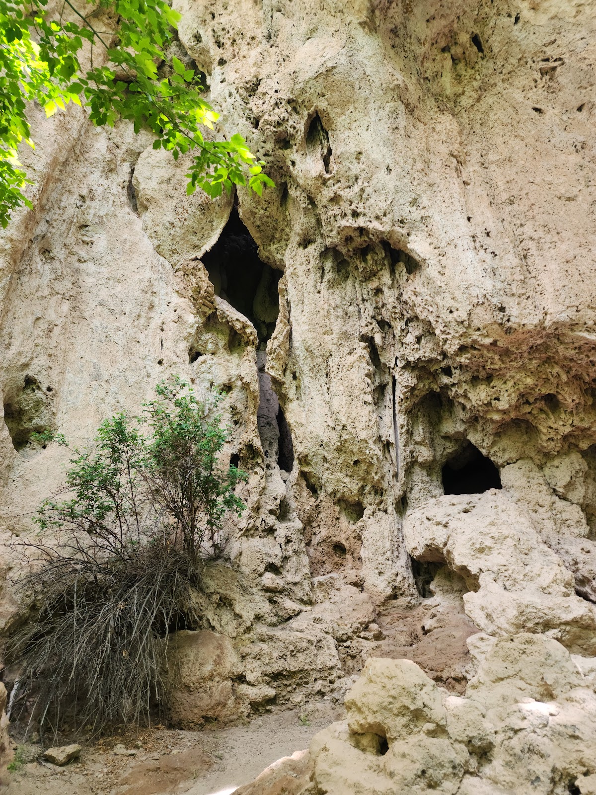 Rifle Falls State Park
