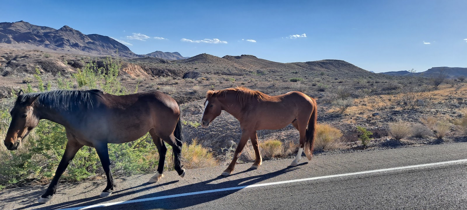 Robbins Nest Mobile Home Community