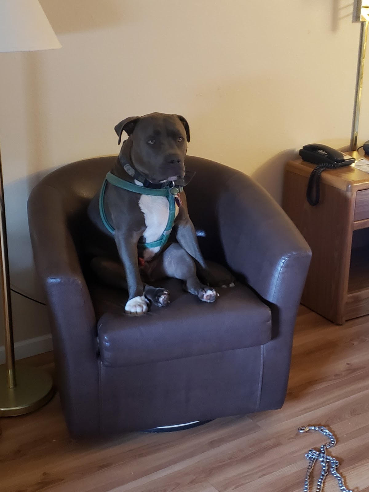 City of Enderlin RV Park