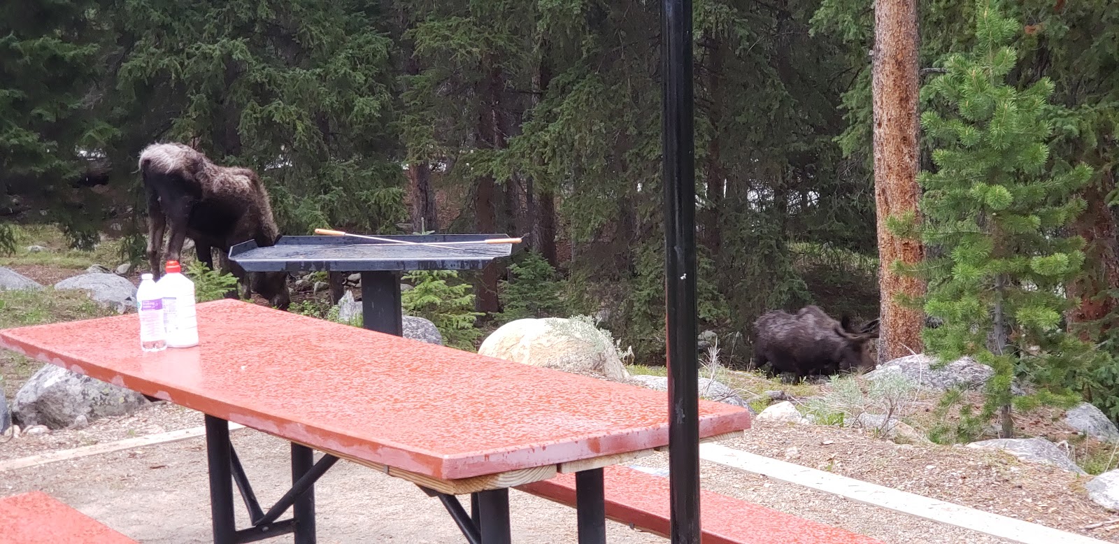 Boulder Park Campground