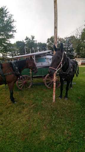 Dowie Dale Campground and Marina