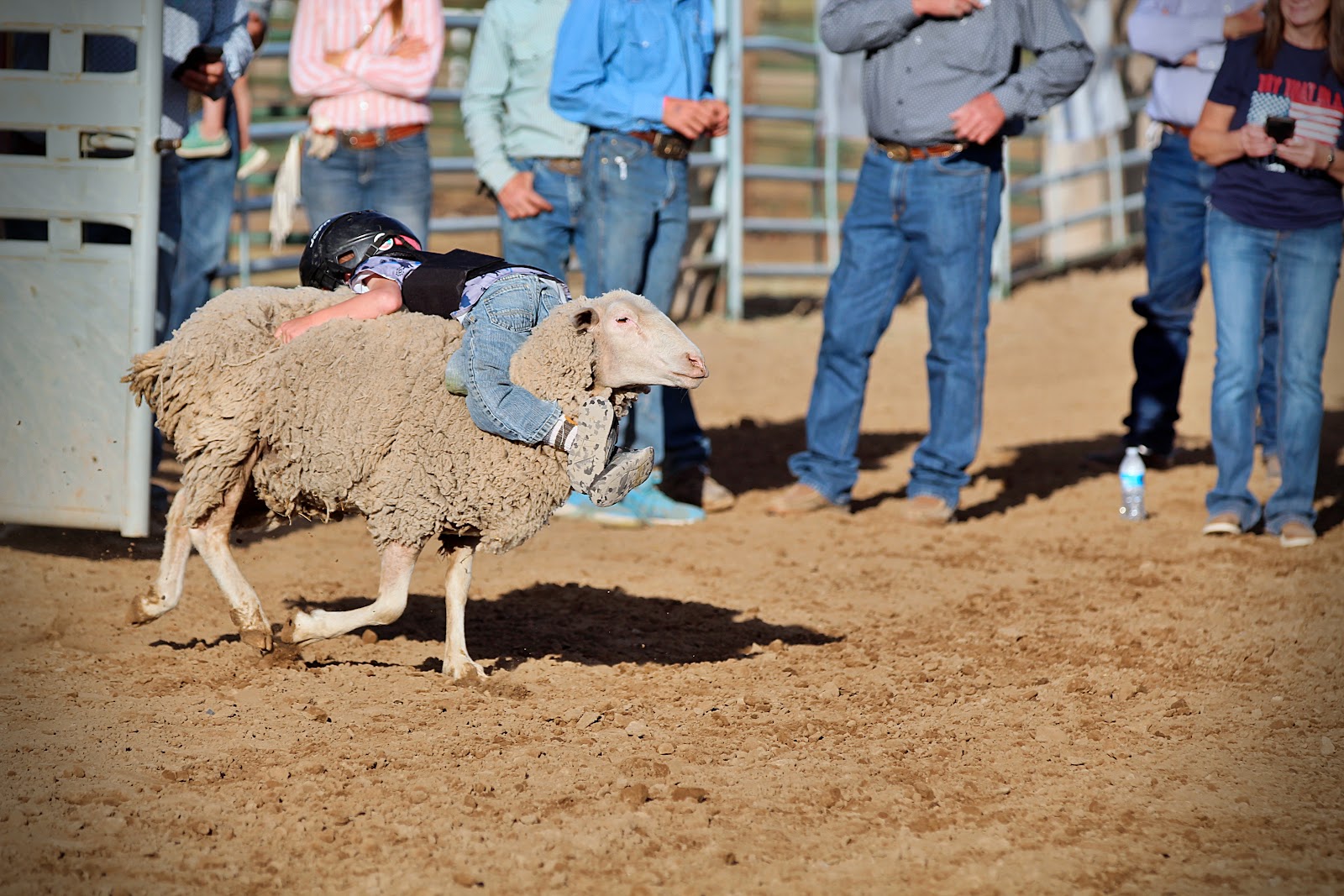 Harney County Fair Office
