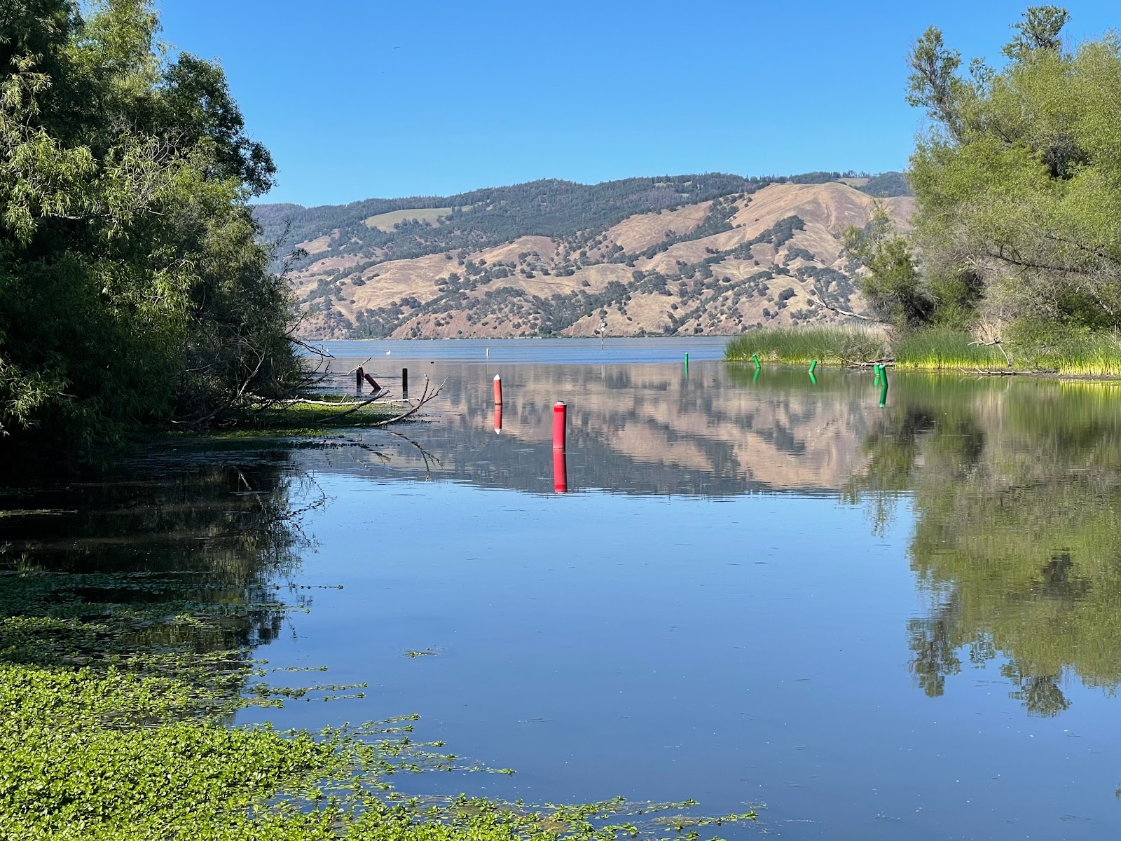 Cole Creek - Clear Lake State Park