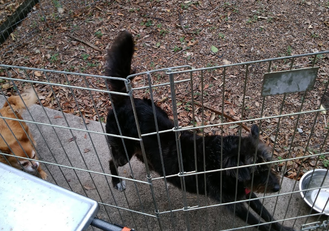 AmeriCana The Birding Center RV Resort