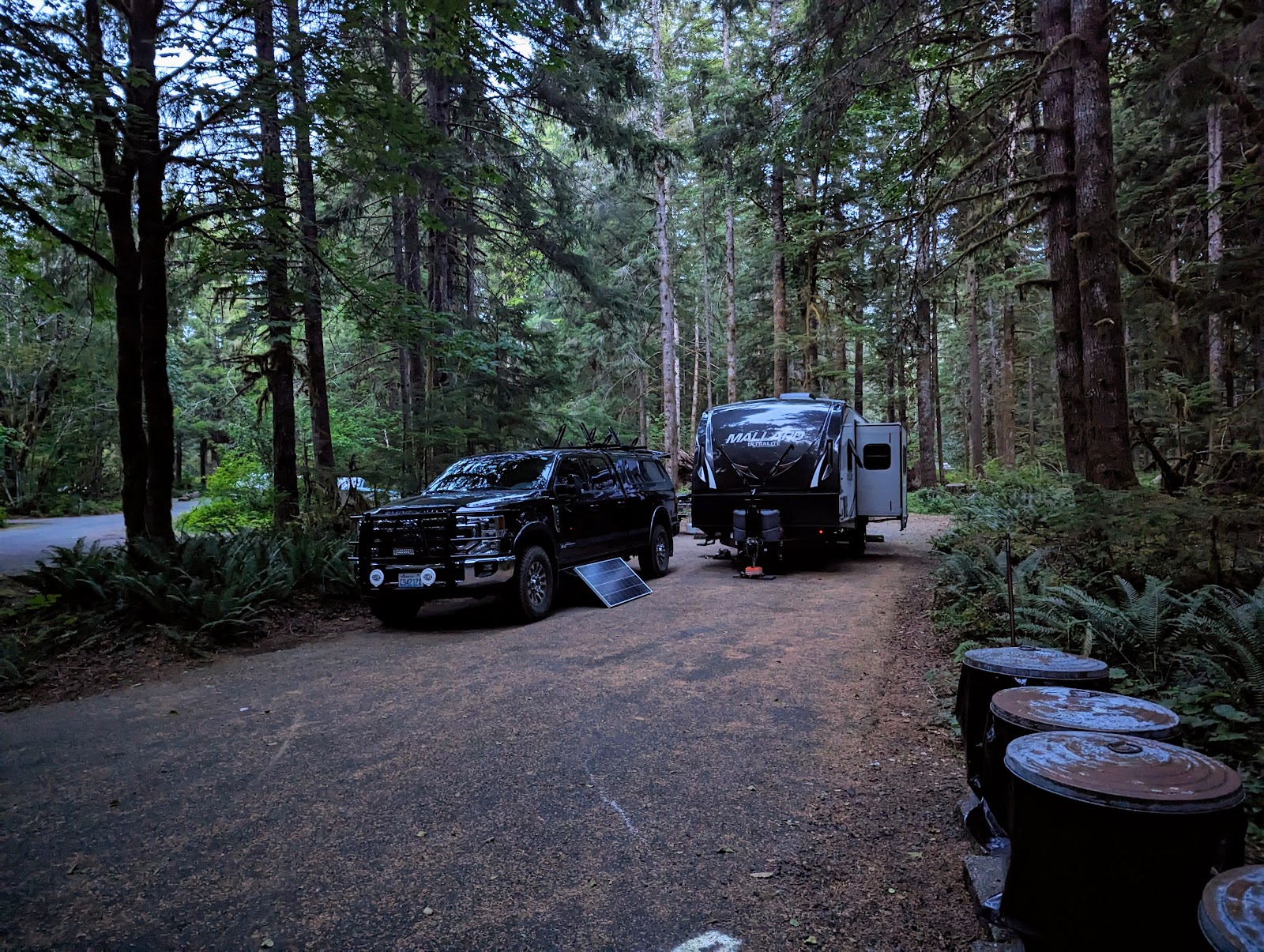 Coho Campground