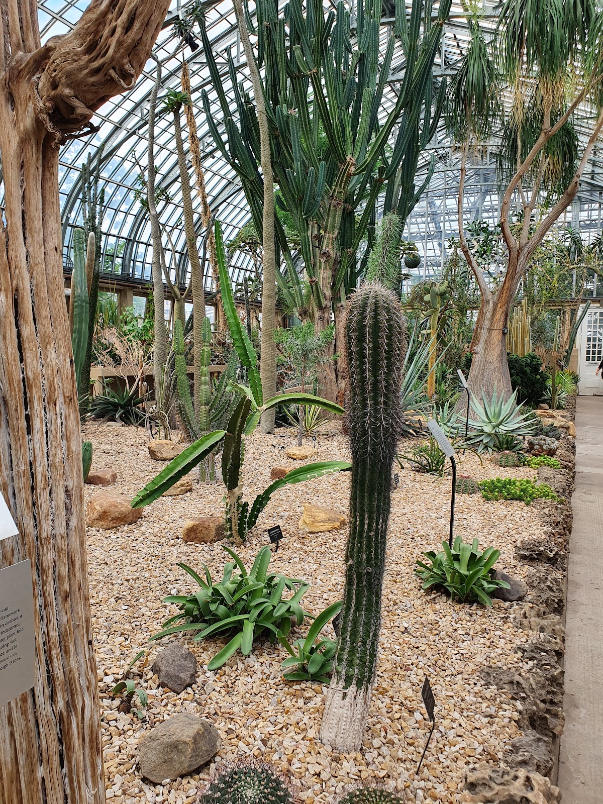 Garfield Park Conservatory