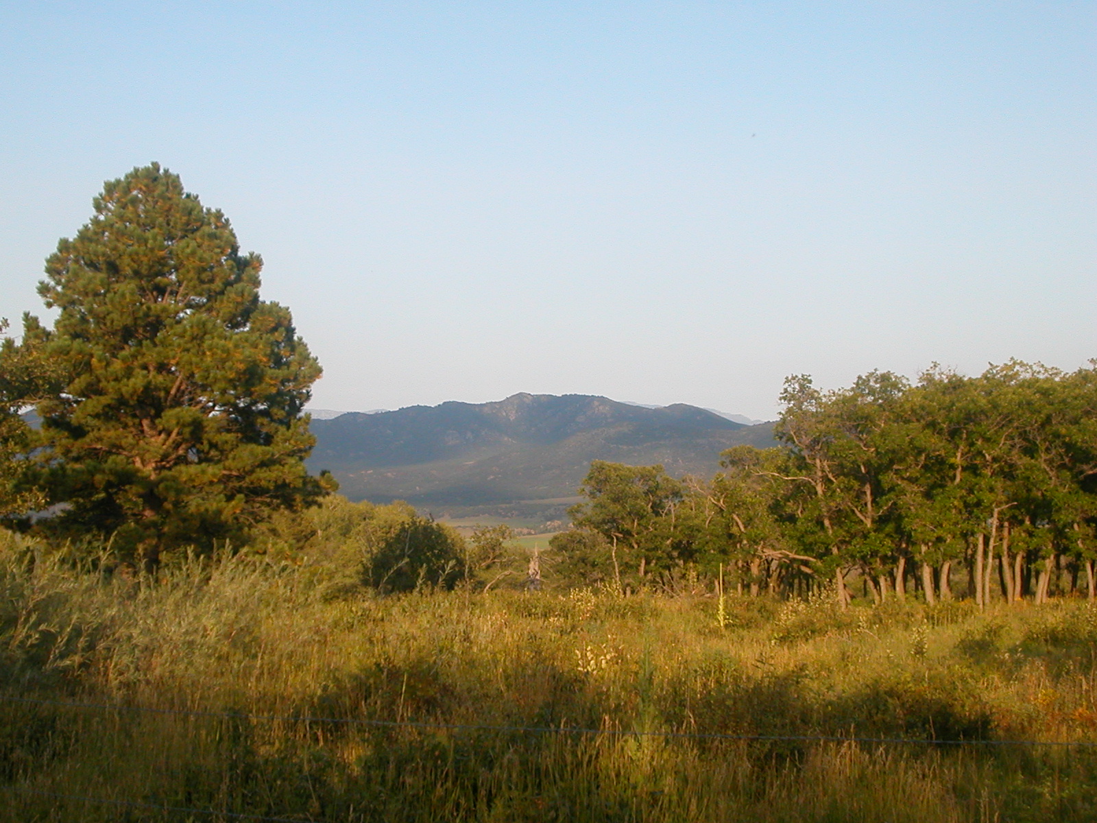 Lake Creek Campground