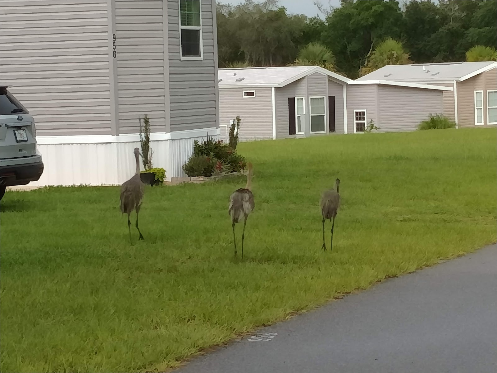 The Recreation Plantation RV Resort