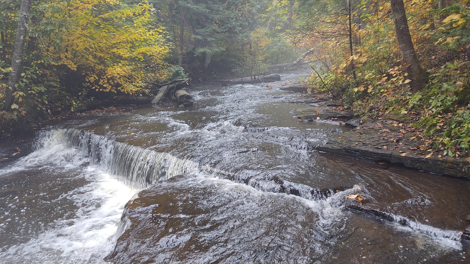 Haymeadow Creek NF Campground
