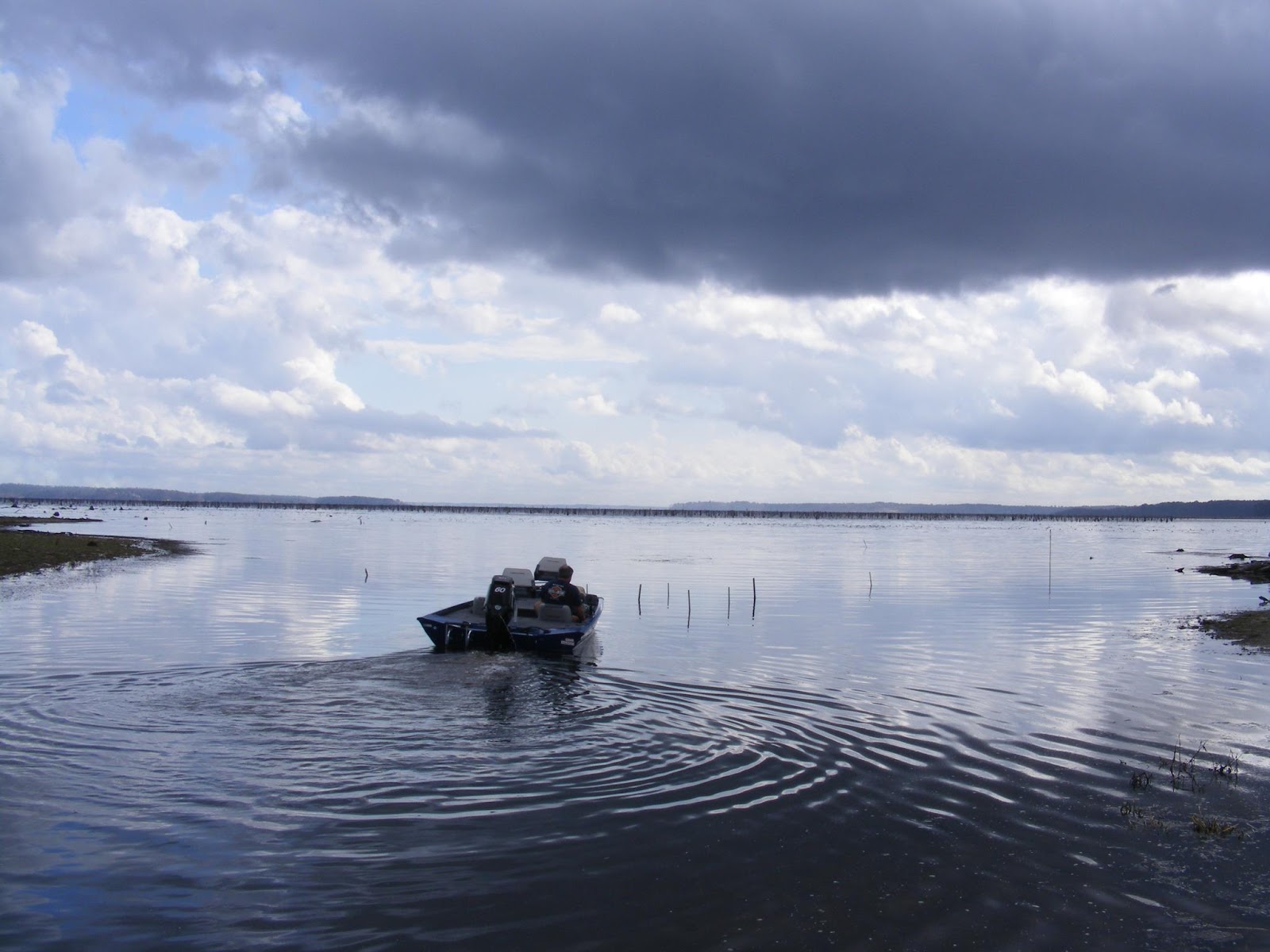 The Byrd's Nest RV Park