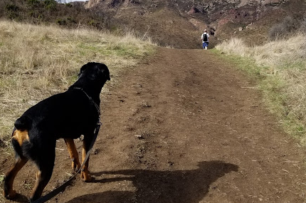 Circle X Ranch Group Campground