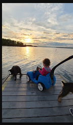Cedar Ridge Campground—Stockton Lake